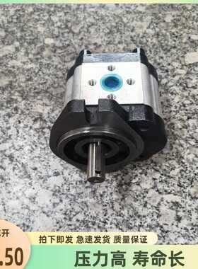 高压新款上市齐全优质中国大陆精品齿轮泵CBWF310ACBWF306A液压机