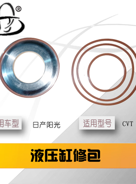 日产阳光轩逸骐达颐达雷诺卡缤CVT液压缸JF015E修包 安装工具