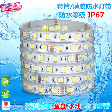12V 24VLED5050贴片IP68套管灌胶防水灯带鱼缸水池水下防水软灯条