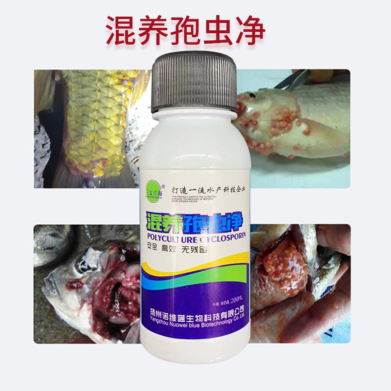 混养孢虫净速灭孢虫净水产鱼药杀孢子虫治疗疾病鱼塘鱼池寄生虫病