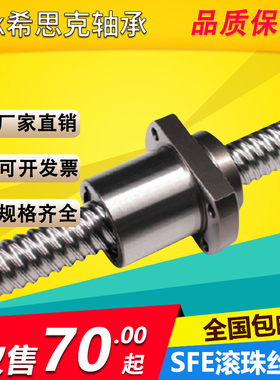 SFE精密大导程滚珠丝杆螺母  套组研磨加工 定制高速丝杆