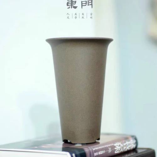 春兰新款上市30cm以下优质散射光