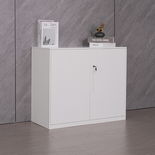 钢制办公铁皮文件柜矮柜办公室资料柜拆装薄边储物对开柜带锁白色