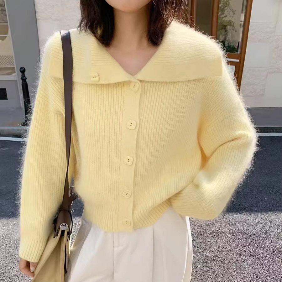 韩系翻领浣熊绒毛衣女外套