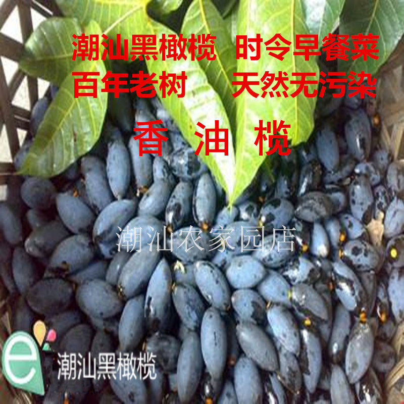 乌榄新鲜黑橄榄油橄榄正宗潮汕香油榄大溪乌橄榄生果乌榄潮汕杂咸