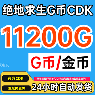 PUBGG币绝地求生G币11200G金币CDK兑换码吃鸡GB游戏币点卷皮肤CDK