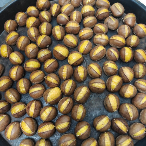 迁西特产板栗生栗子正宗油栗子新鲜板栗新鲜小栗子划口开口笑生栗