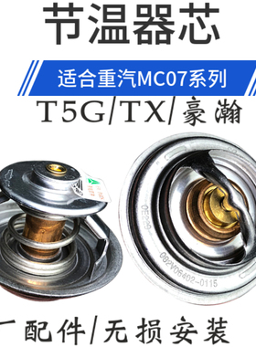 适用豪沃T5G TX斯太尔汕德卡C5 G5豪瀚N5G重汽MC07节温器芯原厂
