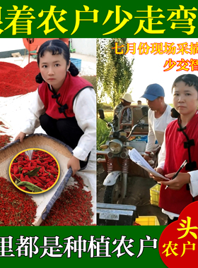 枸杞子非宁夏正宗头茬大颗粒免洗正宗红构杞子泡水男茶农户自产