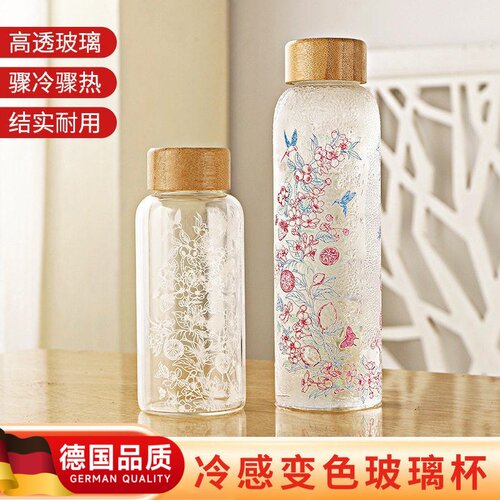 变色玻璃乐品乐茶550大容