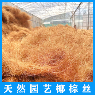 椰棕丝椰丝铺面椰壳丝300克花盆盖面草盆栽铺面装 饰石子天然透气