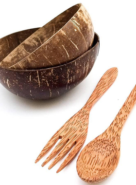 ins纯天然椰子碗大肚碗创意绿色健康vlog博主同款甜品碗小众