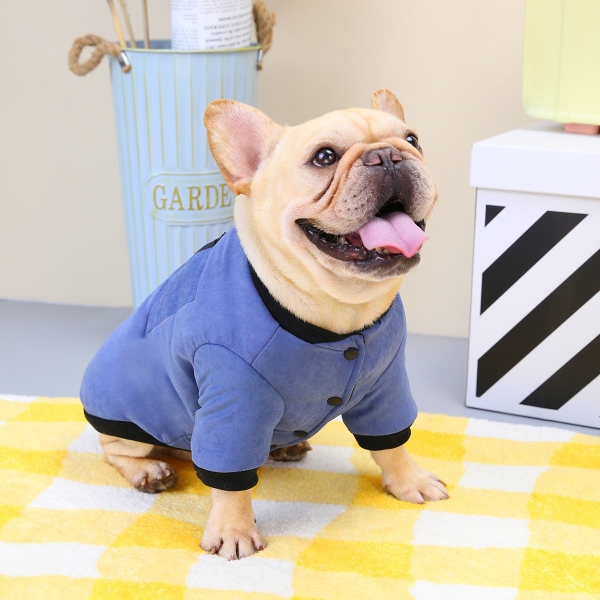 法斗狗狗衣服两脚衣棉衣秋冬款斗牛犬京巴巴哥沙皮狗斗牛保暖加厚