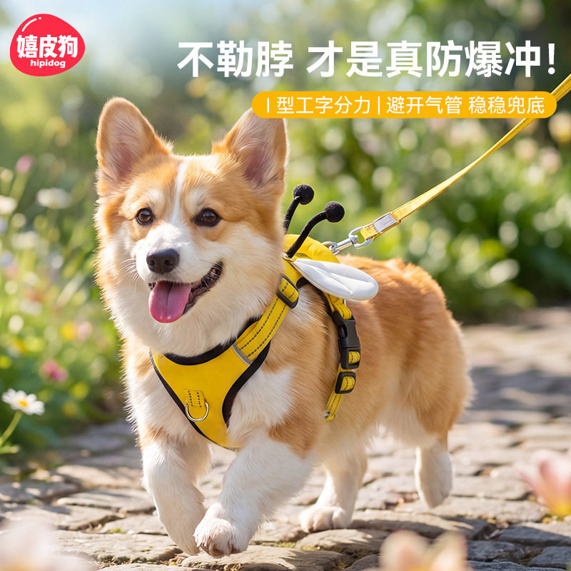 狗狗胸背牵引绳防爆冲反光夜光天使翅膀中大型犬遛狗背带外出用品图片