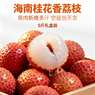 顺丰空运海南桂花香新鲜荔枝当季老树现摘现发大果5斤装水果礼品