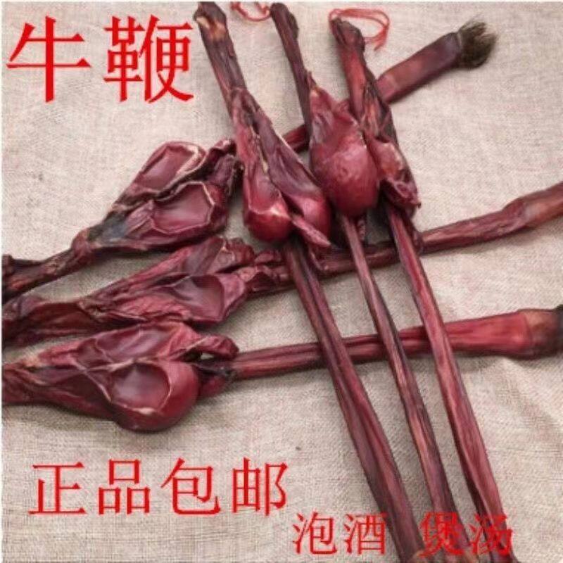 【正品】干牛鞭牦牛鞭带蛋整根牛鞭干滋补泡酒带睾丸黄牛鞭