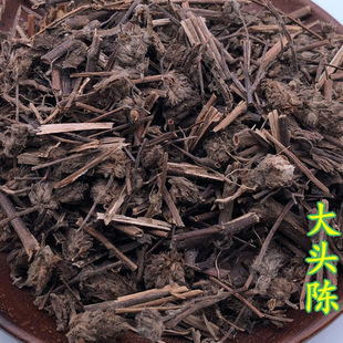 大头陈千锤草 乌头风 土夏枯草 假薄荷黑头草神曲草地松茶中药材