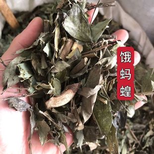广西饿蚂蟥槐花晒干干货饿蚂蝗干50-1000克