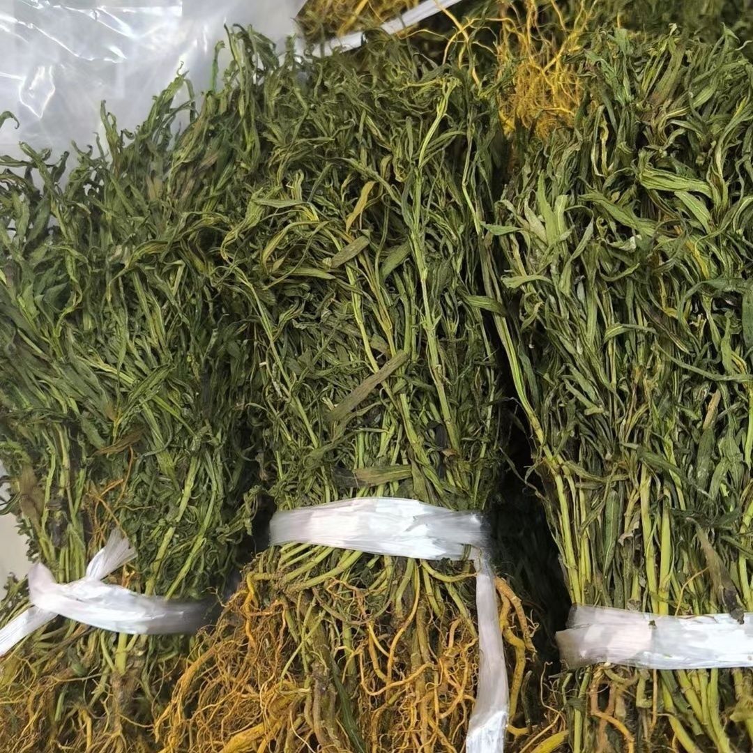 【水黄连】新货水灵芝外青鱼胆草