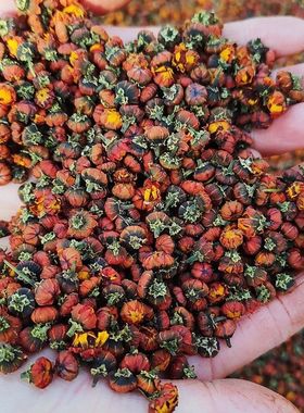 【雅鲁藏布江九品金兰】西藏高海拔百搭茶