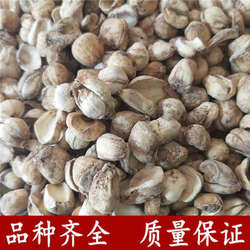 伊贝母 新疆贝母 伊贝母大伊贝无硫平贝松贝川贝