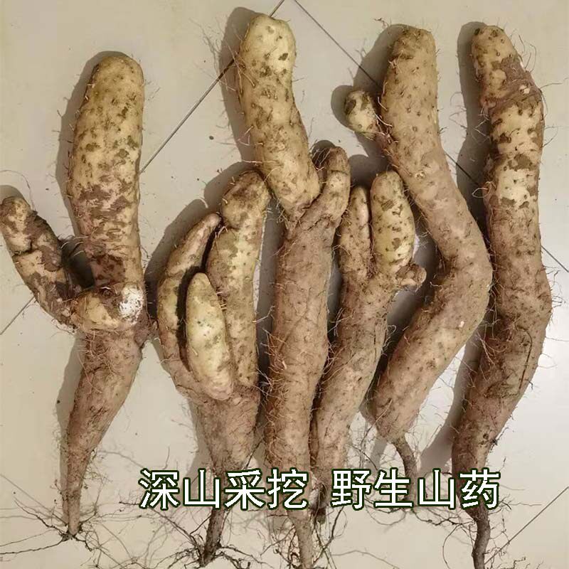 正宗伏牛山药煲汤无添加