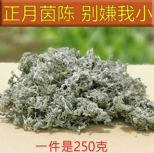 新鲜正月茵陈干白蒿绵茵陈茶蒸菜时令野菜2026山区采挖整颗500克