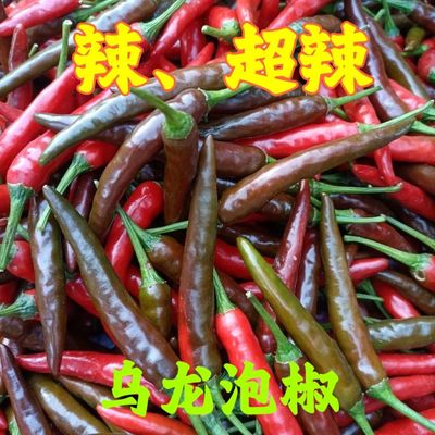 乌红色小米辣重庆新鲜小米辣椒尖椒辣椒指天椒朝天辣椒下单现摘