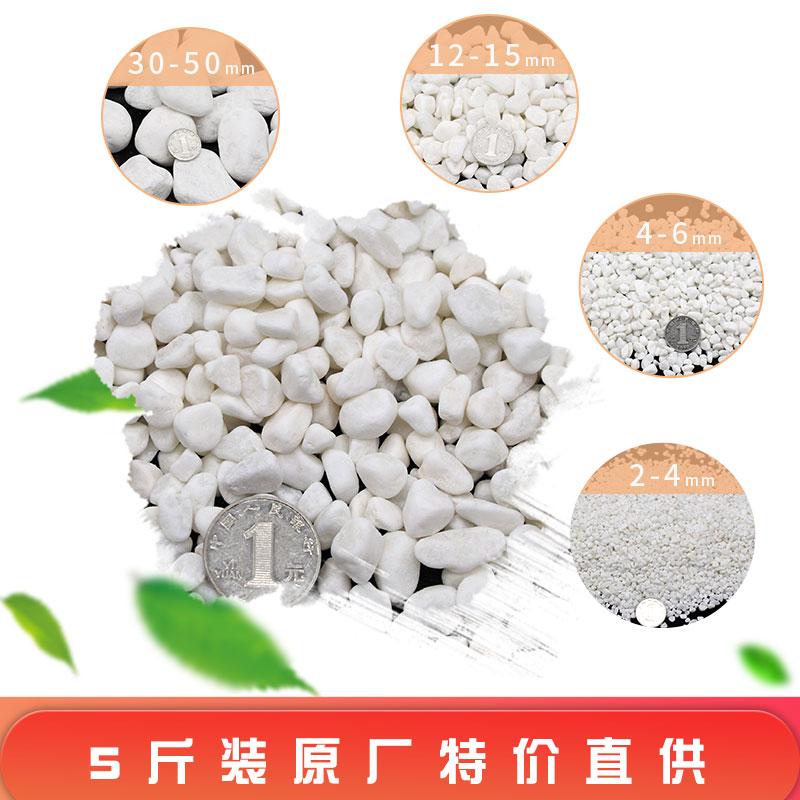 鹅卵石天然雨花石小白石子多肉铺面盆栽花盆庭院造景装饰白色石头