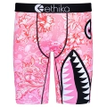 Black-Edged Pink Shark