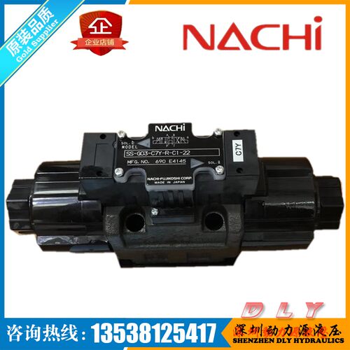 SS-G01-C8/C1S/C6S-R/GR/FR/FNR-C1/C115/C2/C230/D1/D2-31/22