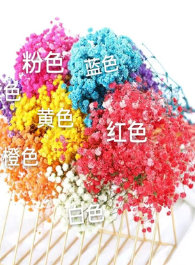 满天星干花束diy材料包情人节礼