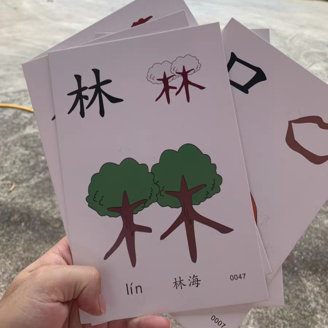 教学识字卡片象形有图幼儿园宝宝认字大卡片启蒙早教卡教师用卡片
