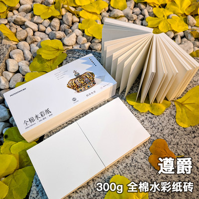 遵爵棉浆300g细纹水彩纸