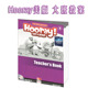 LANGUAGES英国黑布林幼儿3 American 6岁英文教材配套教案hooray plan HELBLING book B大班教师用书lesson teacher’s English