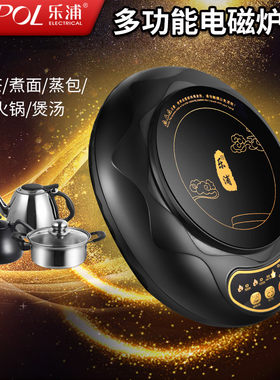 迷你多功能小型电磁炉