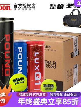 天龙网球P4P3胶罐比赛训练球用球Q1铁罐高弹耐磨专业耐打球好国货