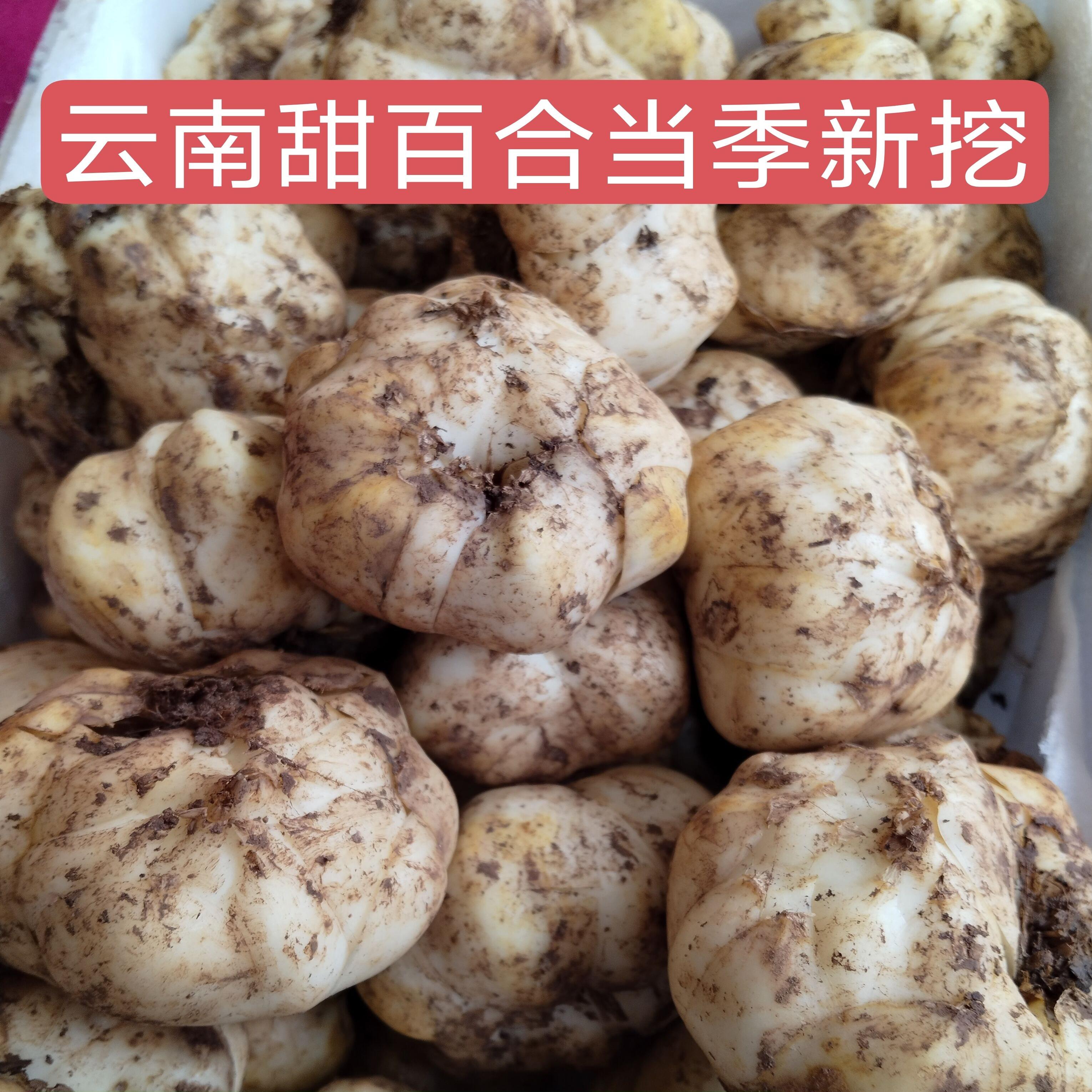 当季新鲜百合小百合食用百合云南高山甜百合个大均匀带泥发货