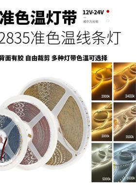 2700K准色温3500K灯带led自粘12v24v低压5000K线条3000K4000K灯条
