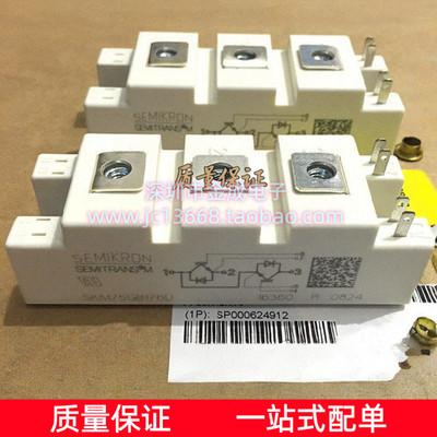 SKM75GB176D SKM100GB176D/173D SKM145GB176D BSM75GB170DN2全新
