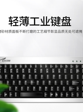 小袋鼠DS-9821薄88键笔记本工业数控机工控一体机设备键盘
