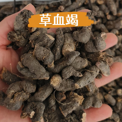 草血竭 拳参 中药材 正品新货 500克 包邮