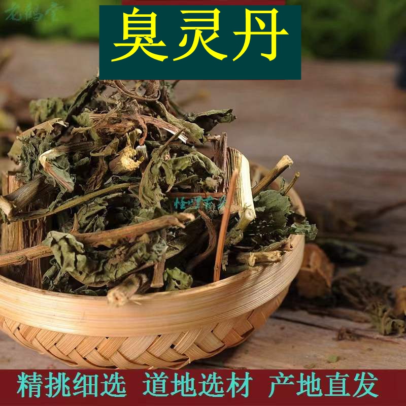 臭灵丹 羊尾三靓 六棱菊 鹿耳苓 鹿耳草 药材六耳棱 500g包邮