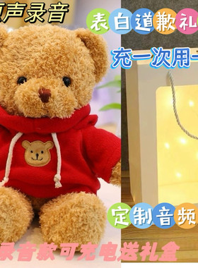 录音泰迪熊毛绒公仔生日礼物异地