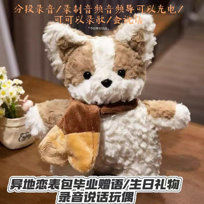 异地录音分段录音柯基情人节礼物