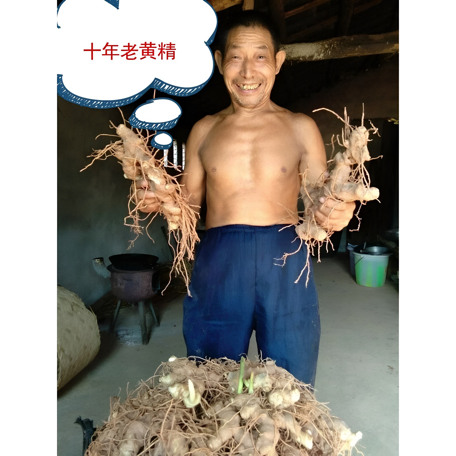 500克一斤满五斤包邮新鲜黄精泡酒材料老虎姜十年老黄精九蒸九晒