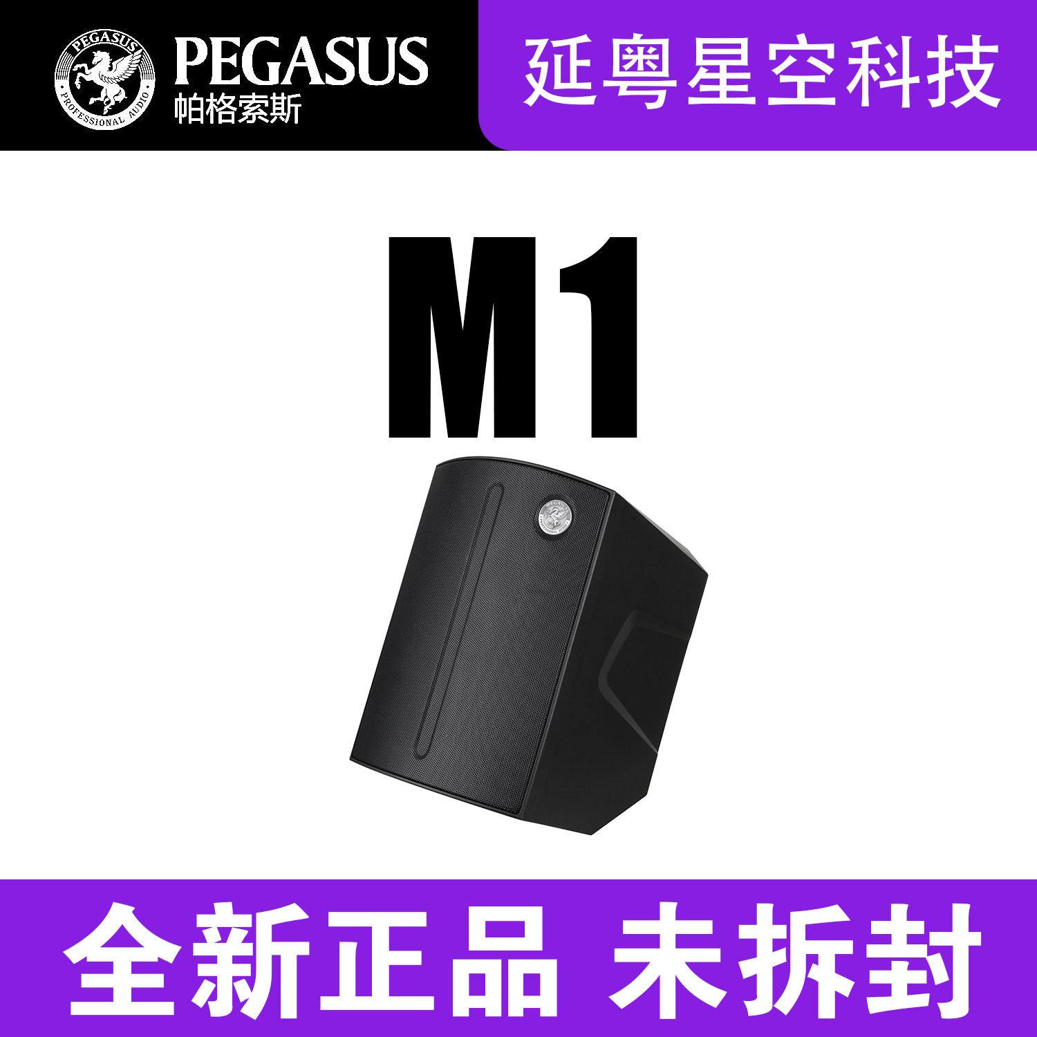 帕格索斯M1音箱充电户外便携卖唱音响萨克斯音箱(PEGASUS)吉他