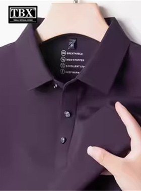 高端紫色polo衫男士长袖t恤2025新款春秋季商务休闲翻领卫衣男款