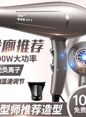 冷热速干理发店专用负离子大功率