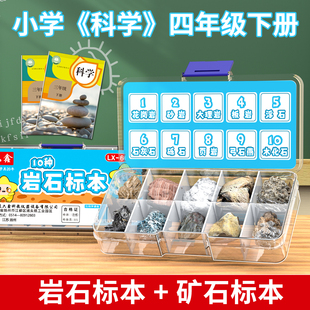 矿物岩石标本盒小学科学四年级下册地理科普石头观察实验学生学具